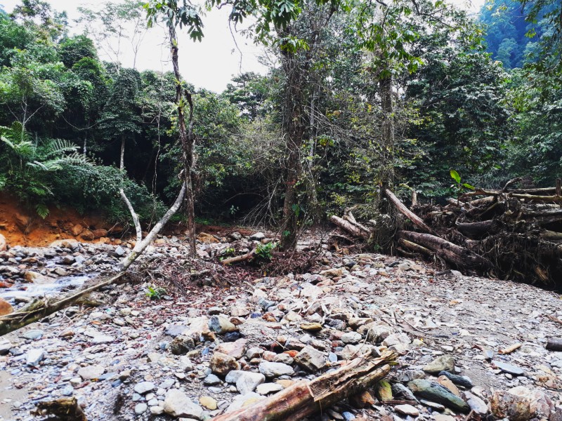 Hình ảnh hoang tàn của Vườn quốc gia Xuân Sơn sau trận mưa lũ lịch sử. Với vẻ đẹp hoang sơ kỳ vĩ mà thiên nhiên ban tặng.