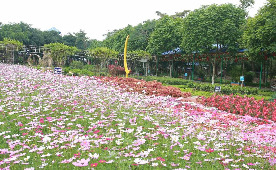 Vườn hoa Đảo Ngọc Xanh