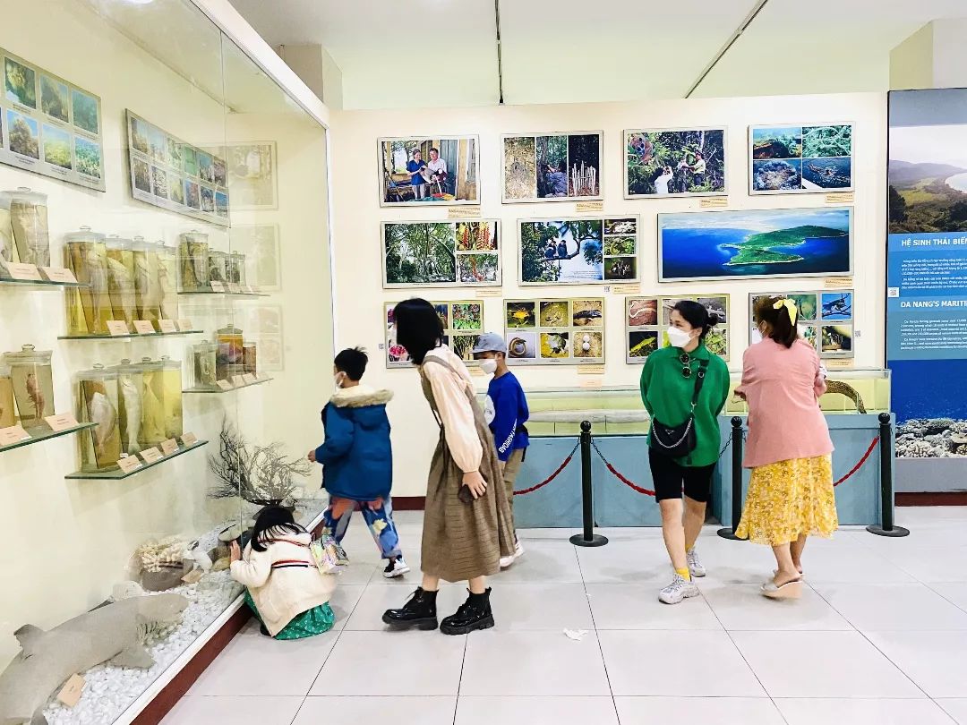 Bảo tàng Đà Nẵng